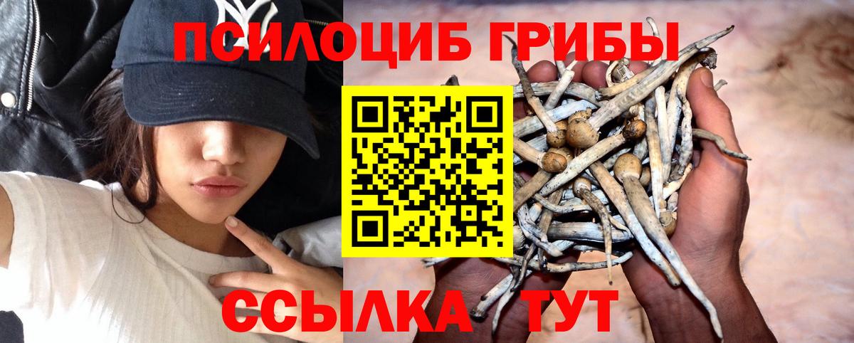 Кокаин  Канабис  Карасук  Alpha-PVP СОЛЬ   Мефедрон кристаллы  Гашиш  Вход с VPN 