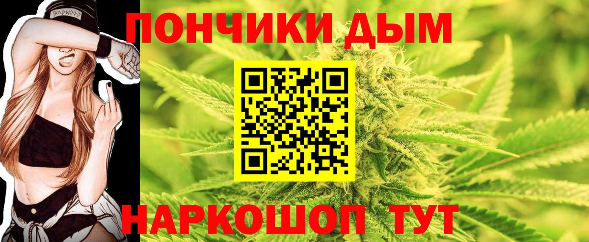 Бошки марихуана план  Вход с VPN  Канабис марихуана  Карасук  Бошки Шишки White Widow  Шишки марихуана ГИДРОПОН 