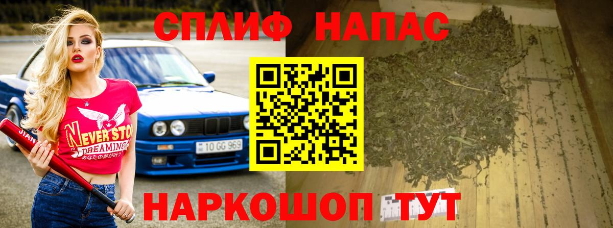 Конопля планчик Карасук